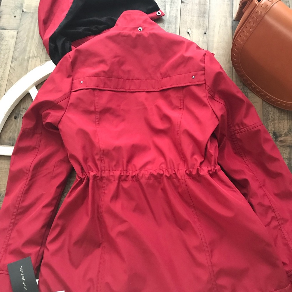 Jacket - Picture 4 of 5